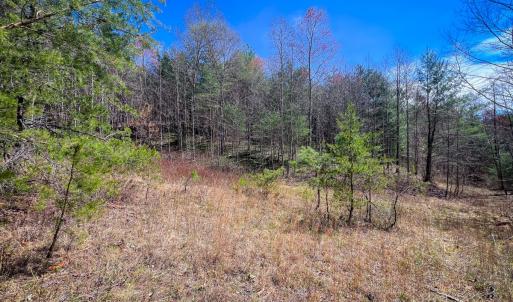 Photo #30 of Off of Willard Creek Lane, Stuart, VA 180.0 acres