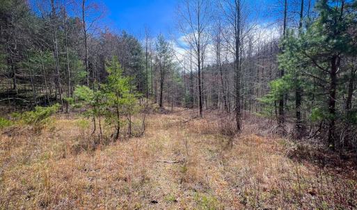 Photo #31 of Off of Willard Creek Lane, Stuart, VA 180.0 acres