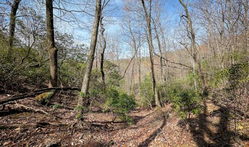 Photo #32 of Off of Willard Creek Lane, Stuart, VA 180.0 acres