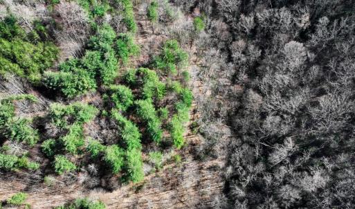 Photo #35 of Off of Willard Creek Lane, Stuart, VA 180.0 acres