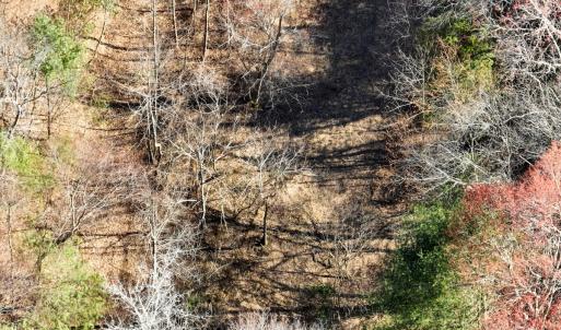 Photo #36 of Off of Willard Creek Lane, Stuart, VA 180.0 acres