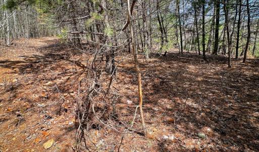 Photo #39 of Off of Willard Creek Lane, Stuart, VA 180.0 acres