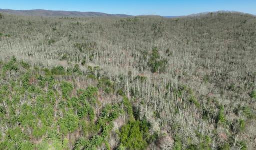 Photo #4 of Off of Willard Creek Lane, Stuart, VA 180.0 acres