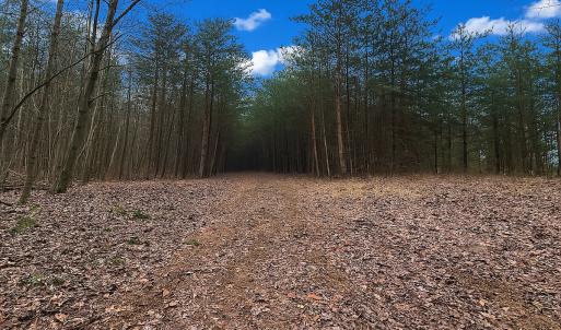 Photo #40 of Off of Willard Creek Lane, Stuart, VA 180.0 acres