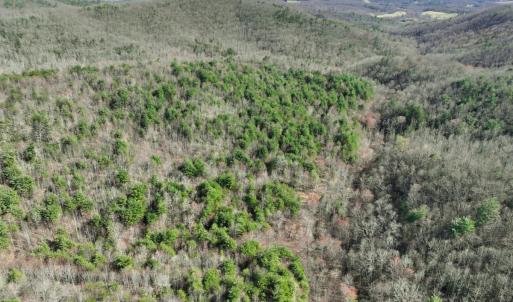 Photo #5 of Off of Willard Creek Lane, Stuart, VA 180.0 acres