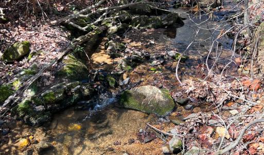 Photo #6 of Off of Willard Creek Lane, Stuart, VA 180.0 acres