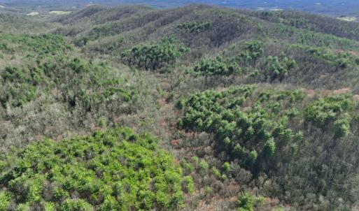 Photo #7 of Off of Willard Creek Lane, Stuart, VA 180.0 acres