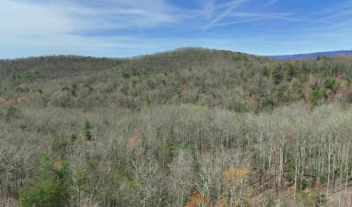 Photo #41 of Off of Willard Creek Lane, Stuart, VA 180.0 acres