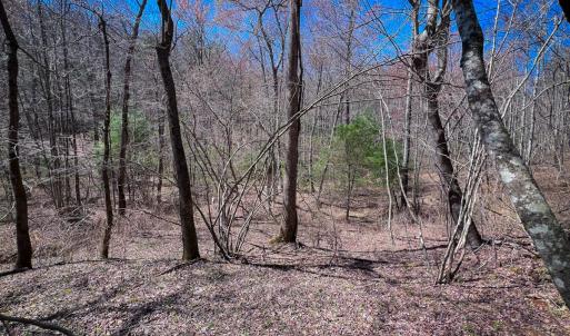 Photo #43 of Off of Willard Creek Lane, Stuart, VA 180.0 acres