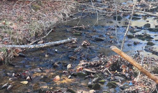 Photo #44 of Off of Willard Creek Lane, Stuart, VA 180.0 acres
