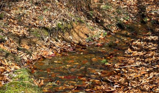 Photo #46 of Off of Willard Creek Lane, Stuart, VA 180.0 acres