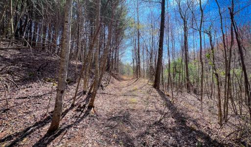Photo #47 of Off of Willard Creek Lane, Stuart, VA 180.0 acres