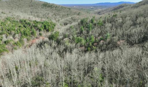 Photo #48 of Off of Willard Creek Lane, Stuart, VA 180.0 acres