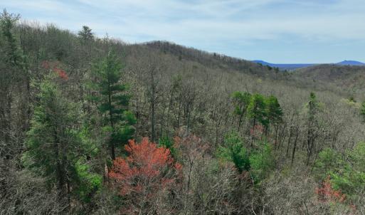 Photo #49 of Off of Willard Creek Lane, Stuart, VA 180.0 acres