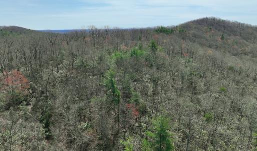 Photo #50 of Off of Willard Creek Lane, Stuart, VA 180.0 acres