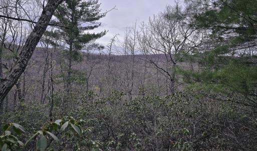 Photo #1 of Off Craig Woods Rd, New Castle, VA 2.8 acres
