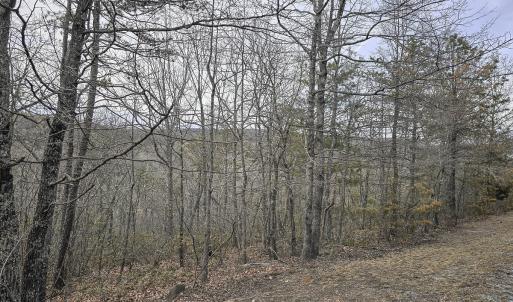 Photo #4 of Off Craig Woods Rd, New Castle, VA 2.8 acres