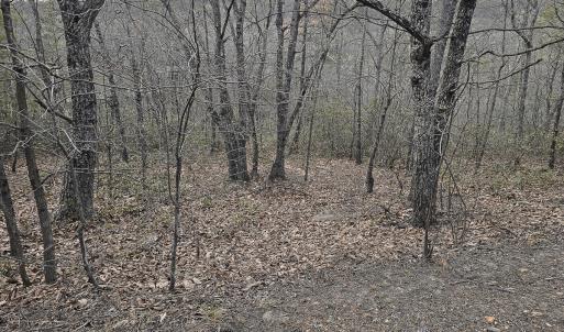 Photo #5 of Off Craig Woods Rd, New Castle, VA 2.8 acres