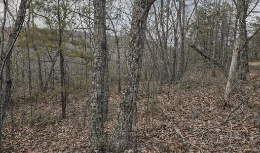 Photo #6 of Off Craig Woods Rd, New Castle, VA 2.8 acres