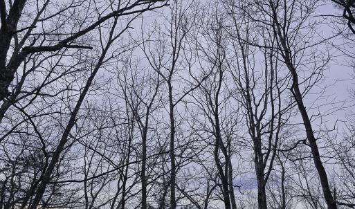 Photo #8 of Off Craig Woods Rd, New Castle, VA 2.8 acres