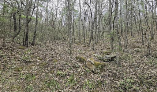 Photo #12 of Off Craig Woods Rd, New Castle, VA 2.8 acres