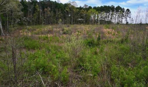 Photo #17 of Off Kelly Plantation Road, Carthage, NC 5.8 acres