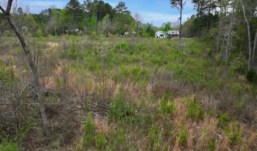 Photo #19 of Off Kelly Plantation Road, Carthage, NC 5.8 acres