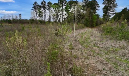 Photo #7 of Off Kelly Plantation Road, Carthage, NC 5.8 acres