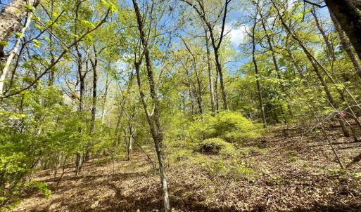 Photo #14 of Off North State Lane, Rockingham, NC 1.1 acres