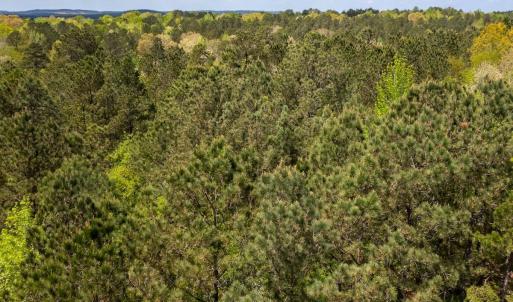 Photo #15 of Off North State Lane, Rockingham, NC 1.1 acres