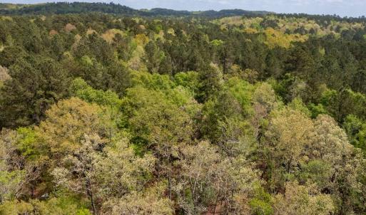 Photo #16 of Off North State Lane, Rockingham, NC 1.1 acres