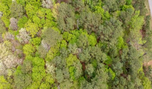 Photo #17 of Off North State Lane, Rockingham, NC 1.1 acres