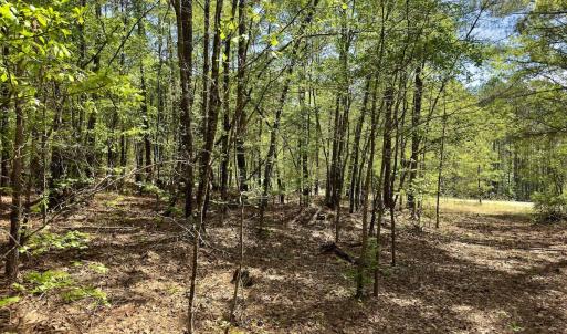 Photo #18 of Off North State Lane, Rockingham, NC 1.1 acres