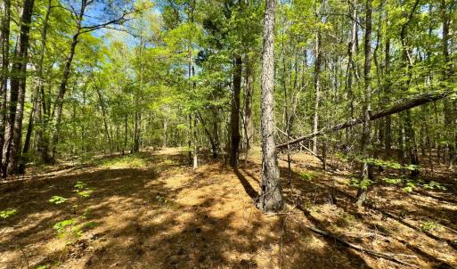 Photo #19 of Off North State Lane, Rockingham, NC 1.1 acres
