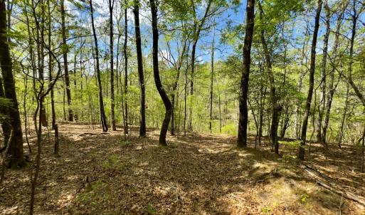 Photo #20 of Off North State Lane, Rockingham, NC 1.1 acres