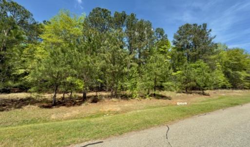Photo #3 of Off North State Lane, Rockingham, NC 1.1 acres
