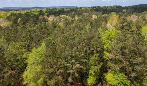 Photo #4 of Off North State Lane, Rockingham, NC 1.1 acres