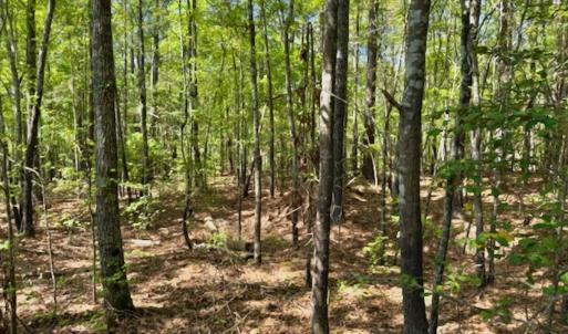 Photo #6 of Off North State Lane, Rockingham, NC 1.1 acres