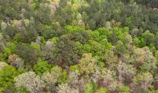 Photo #21 of Off North State Lane, Rockingham, NC 1.1 acres