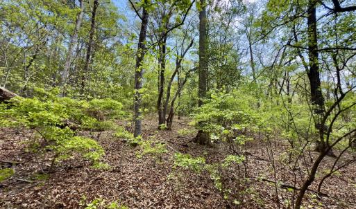 Photo #24 of Off North State Lane, Rockingham, NC 1.1 acres