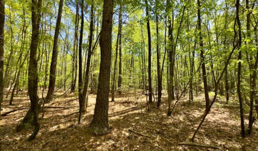 Photo #27 of Off North State Lane, Rockingham, NC 1.1 acres