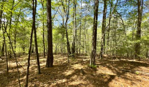 Photo #28 of Off North State Lane, Rockingham, NC 1.1 acres