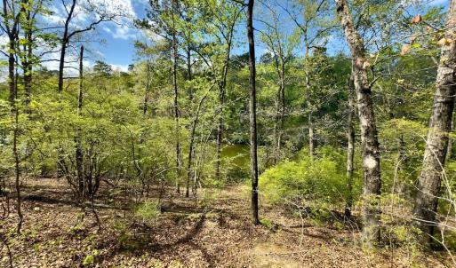 Photo #29 of Off North State Lane, Rockingham, NC 1.1 acres