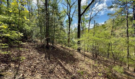 Photo #30 of Off North State Lane, Rockingham, NC 1.1 acres