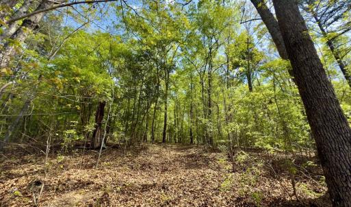 Photo #31 of Off North State Lane, Rockingham, NC 1.1 acres