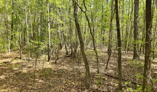Photo #34 of Off North State Lane, Rockingham, NC 1.1 acres