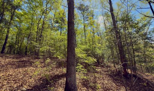 Photo #35 of Off North State Lane, Rockingham, NC 1.1 acres