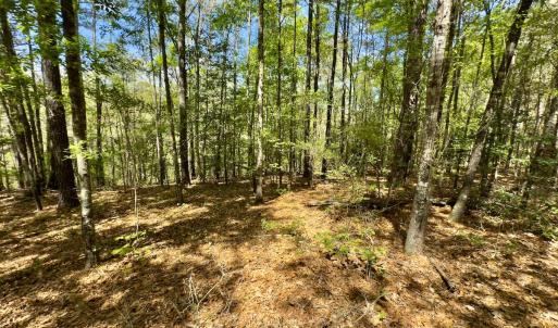 Photo #36 of Off North State Lane, Rockingham, NC 1.1 acres