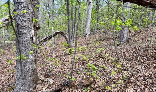 Photo #38 of Off North State Lane, Rockingham, NC 1.1 acres