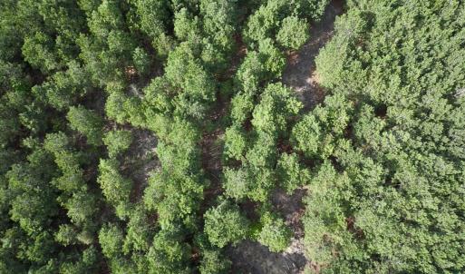 Photo #17 of Off NC 33 E, Grimesland, NC 131.0 acres